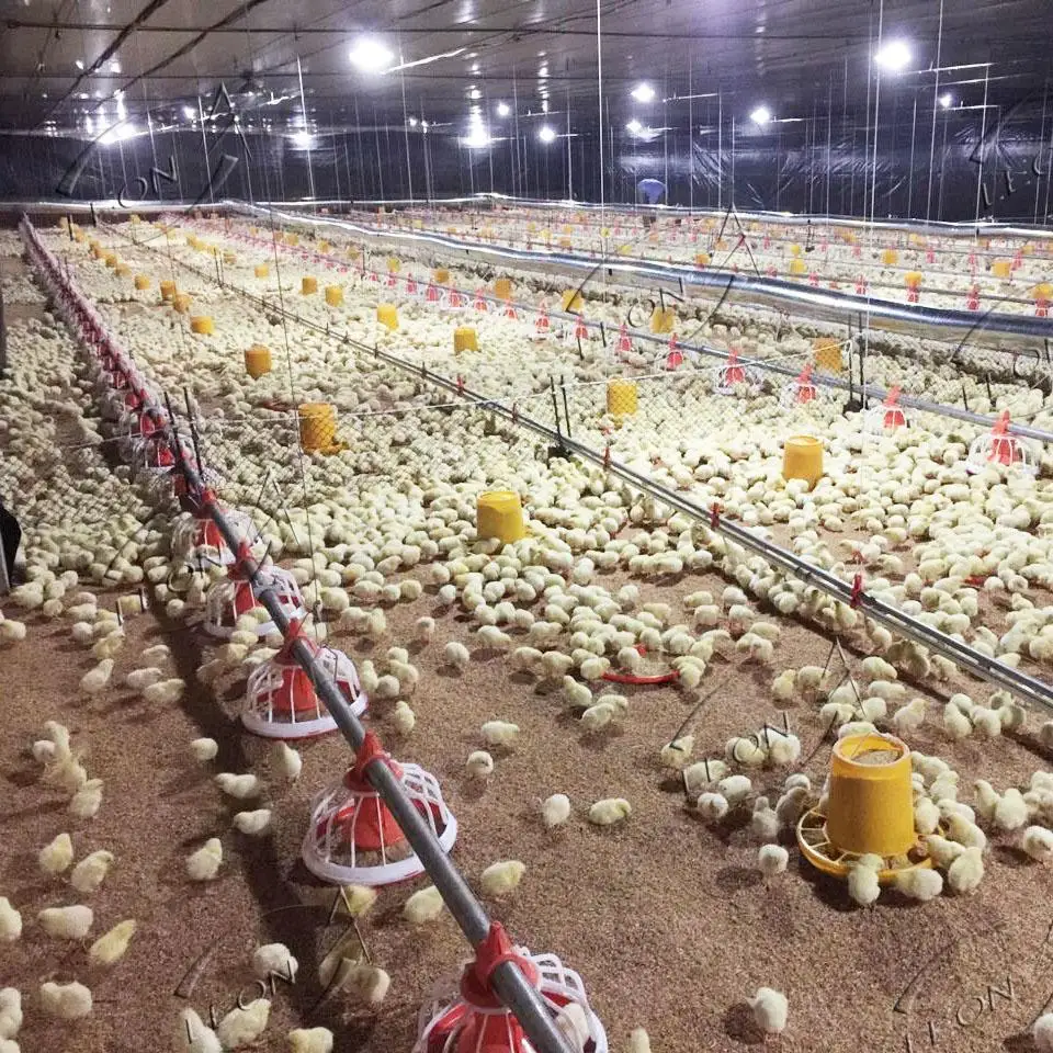 Low Price Automatic Broiler Cheken Farm Poultry Equipment Chicken House for Animal Poultry Husbandry