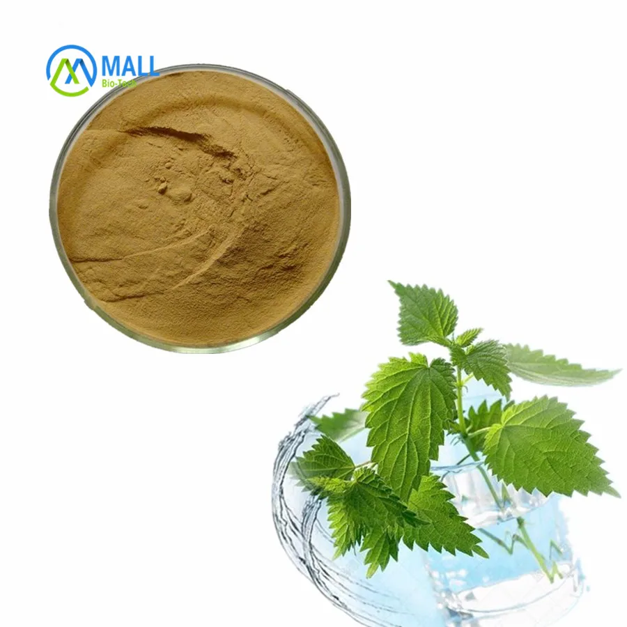 
Natural Food Additive Silicic Acid Powder Stinging Nettle Root Extract 