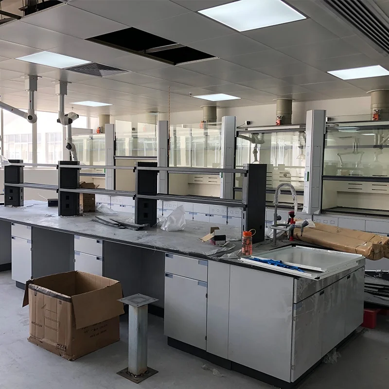 Lab Furniture Metal Laboratory Workbench and Medical Cabinet Fume Hood Reagent Rack
