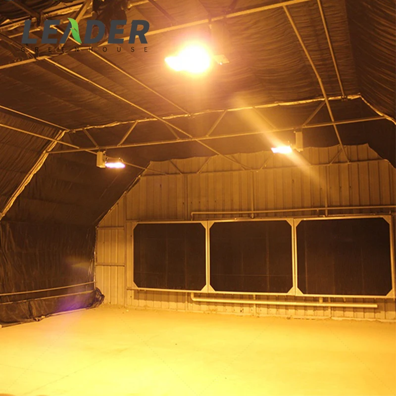 30 x 100 modern light deprivation hemp grow steel pipe plastic cover automatic big greenhouse framework