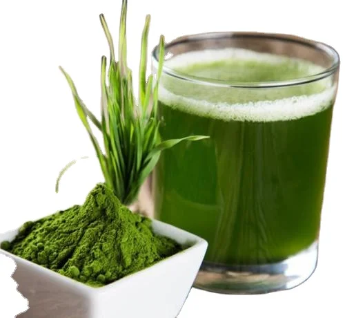 
supply Barley/Wheat grass powder (100% pure, real manufacturer) 