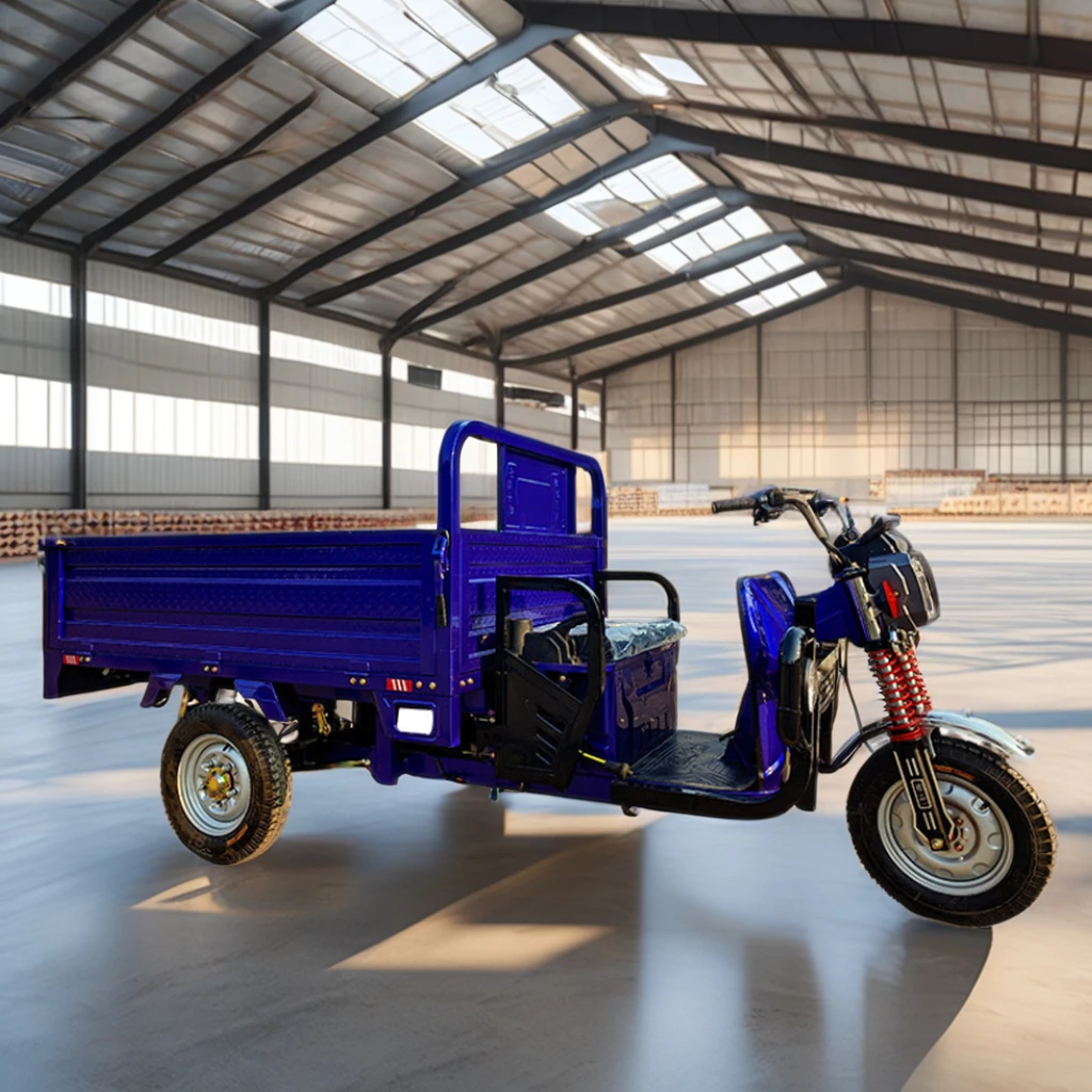 Electric Household Farm Tricycle for Tractor-Pulled Forage 1000w-3000w 60V electric tricycle