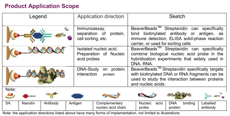 Beaver NanoBeads Streptavidin diameter 300nm for Immunoassay elisa,  nucleic acid probe capture, cell sorting reagent.