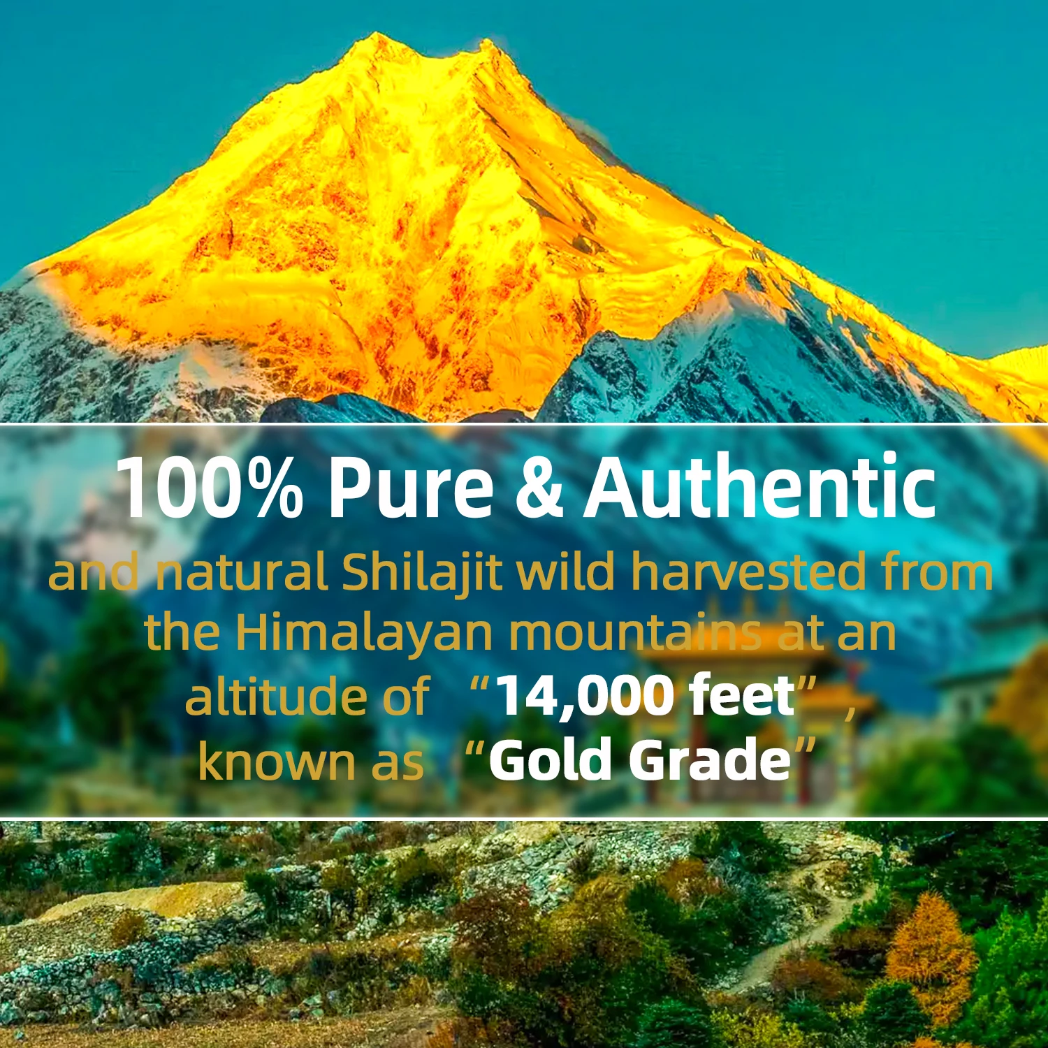 Certified & GMP индивидуальная добавка для улучшения здоровья чистый Гималайский ежедневный шиладжит смола мазь варенье
