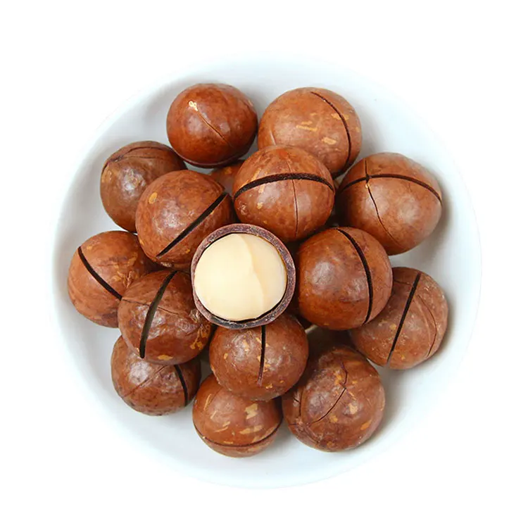Best Sale South Africa Imports Bake Best Quality Macadamia Nuts