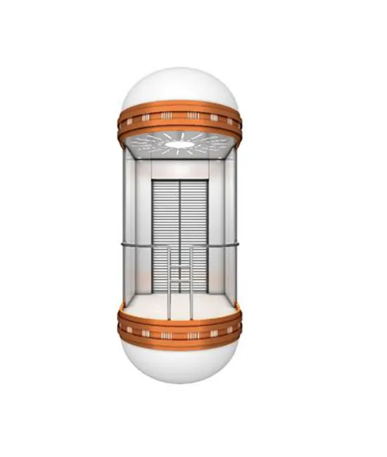 MSDS Factory Direct Sale 2-6 Storey Panorama Elevator Sightseeing Elevator with  630kg 800kg 1000kg Capacity
