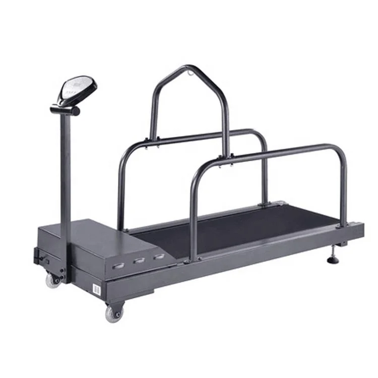 Bunnyhi PBJ036 Hot Sale Large Dog Pet Treadmill Walking Machine Pet Treadmill For Dogs