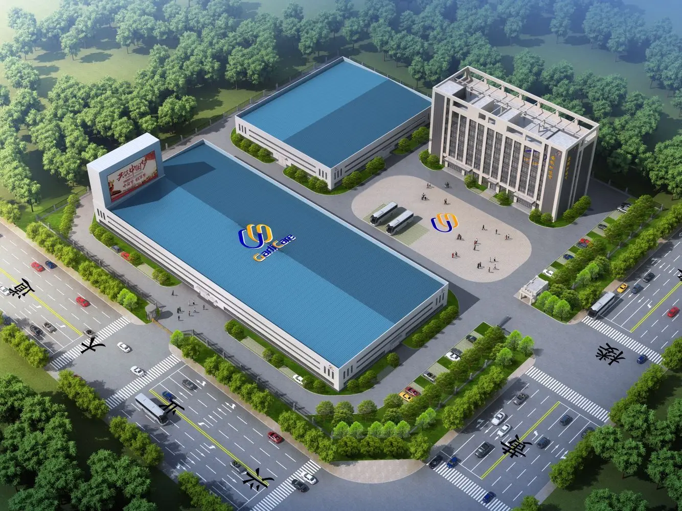 Food Grade Pure Essential Oil Bulk Coriander seed Oil Prices With Free Sample