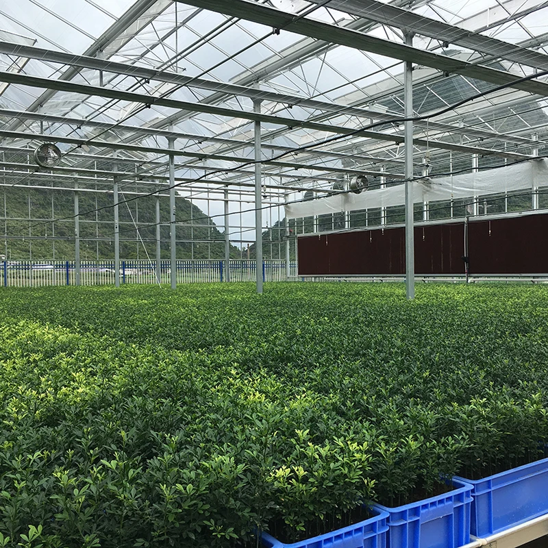 High Quality Greenhouse Cooling Pad System For Sale