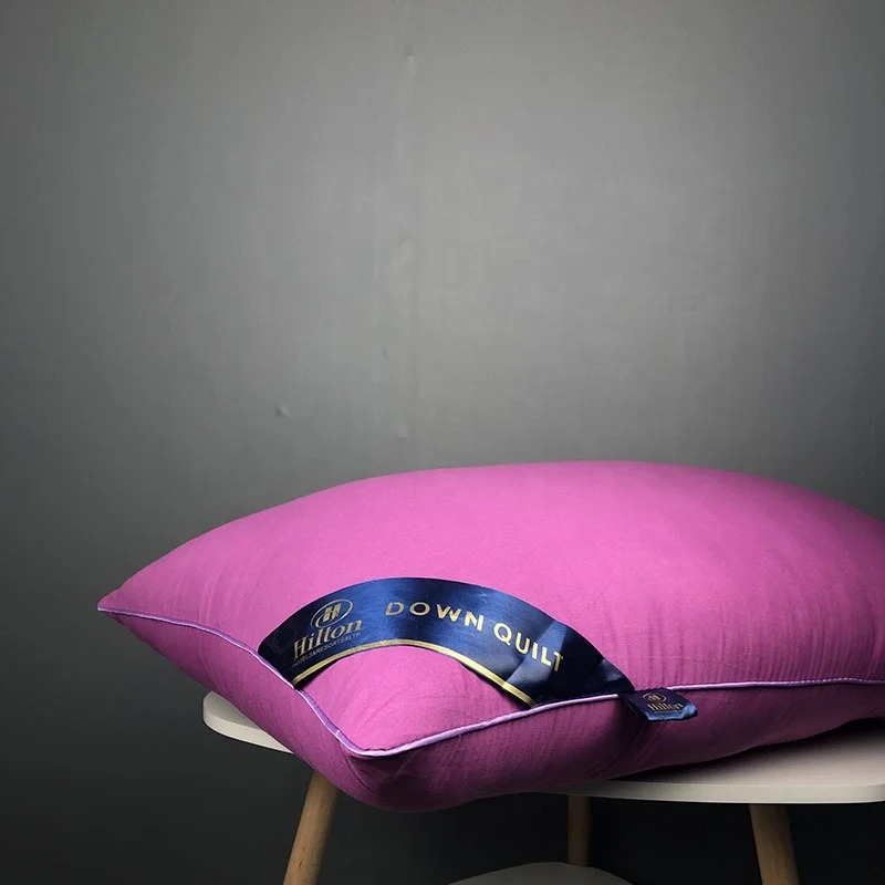 Factory Custom Highend Microfiber Fabric Hilton Hotel Quilted Pillows Family Use 1000g Pillow with Handbag
