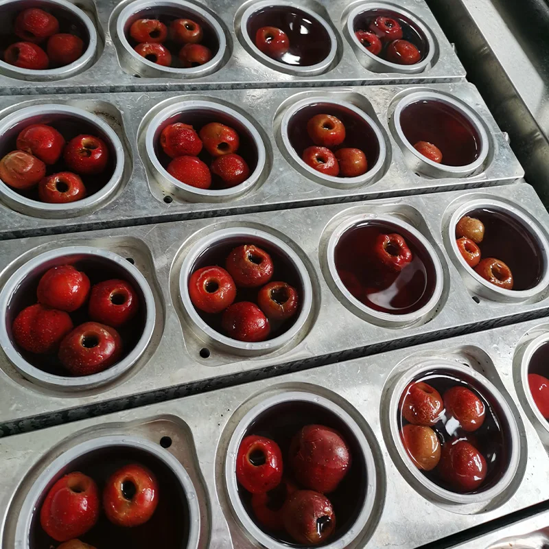 Hot selling new drinks soft drink juices with Kosher certificate