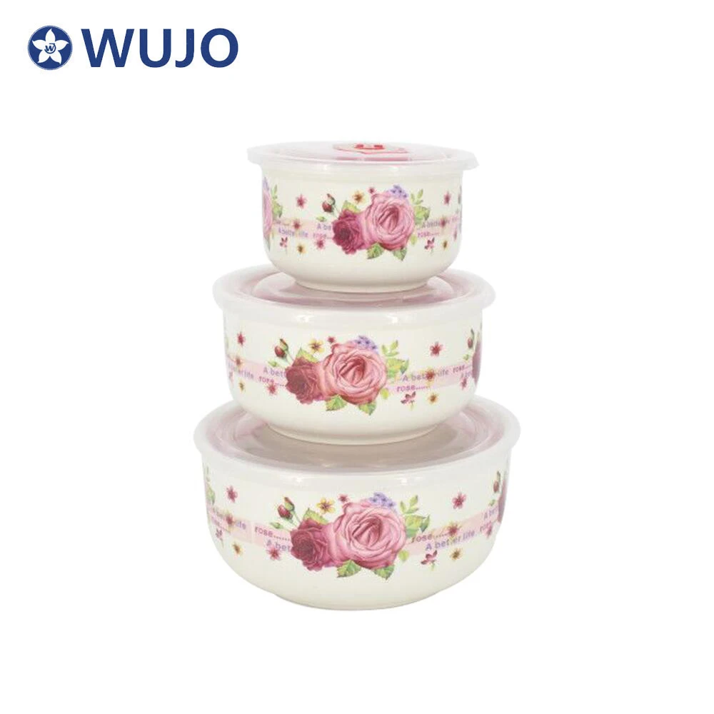 Hot Sale Food Storage Containers Microwave Safe Ceramics Bowl a Set of 3 Ceramic Storage Bowls with Lid