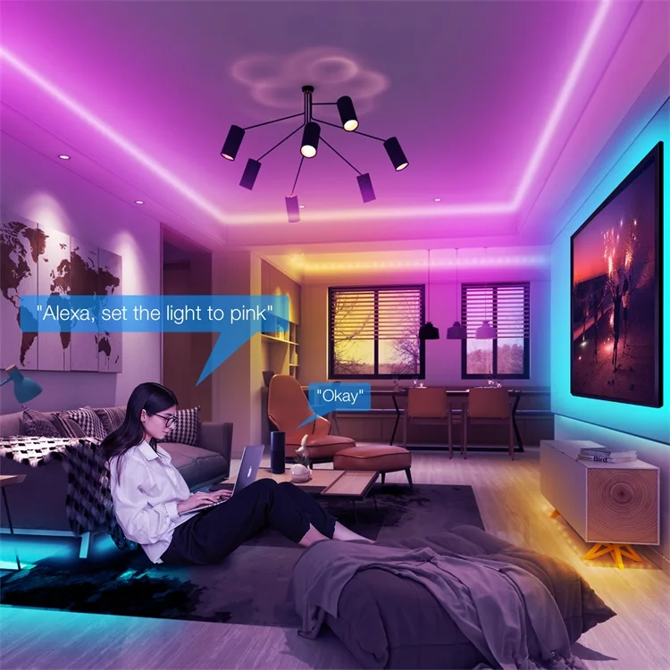 Tuya smart wifi wireless controller USB plug waterproof 5050 RGB 2m 5m 50ft 16.4ft led strips lights