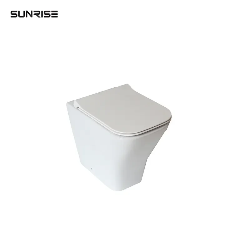Custom One-Piece White Ceramic Toilet Seat with Shower Modern Design Chinese P-Trap Bathroom Size Back Wall Toilet