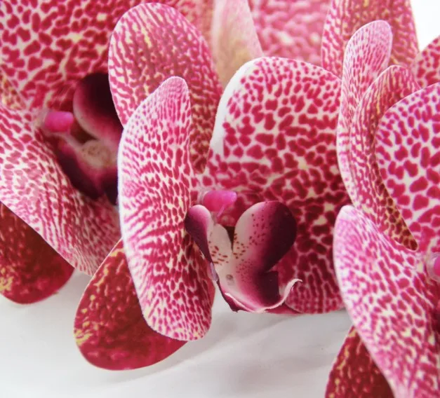 Artificial Flower Wholesale New Feel PU Phalaenopsis Home Dining Table Flower Decoration 9 Heart Phalaenopsis