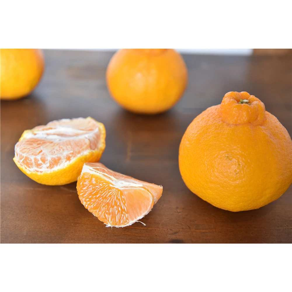 
Japanese fruit juice orange drinks and beverages for wholesale 