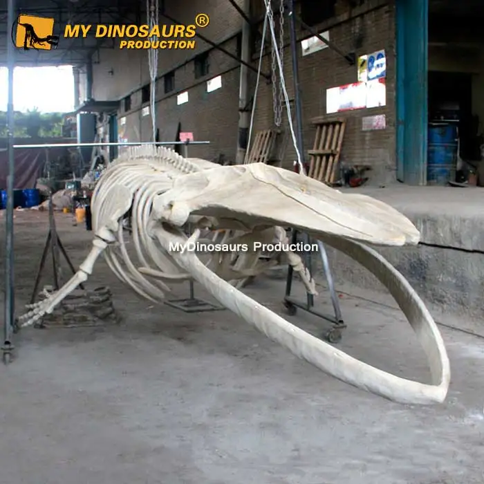 My Dino A543 реалистичный Скелет морского животного синего Кита для
