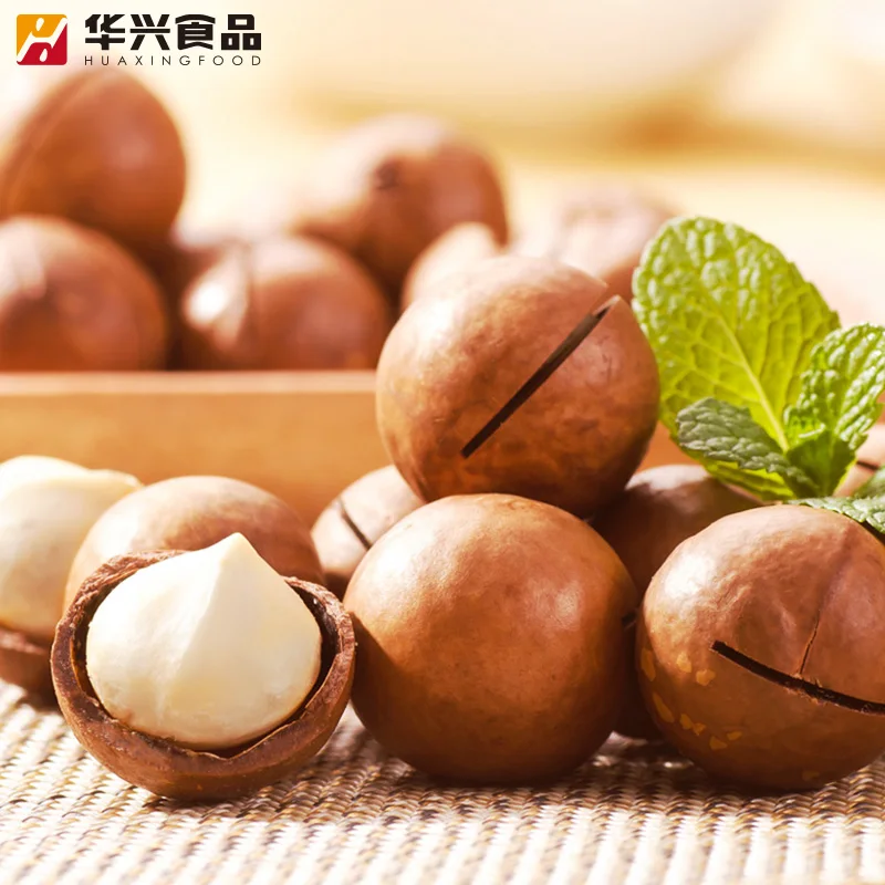 factory Nutrious Macadamia Nuts Export quality From South Africa