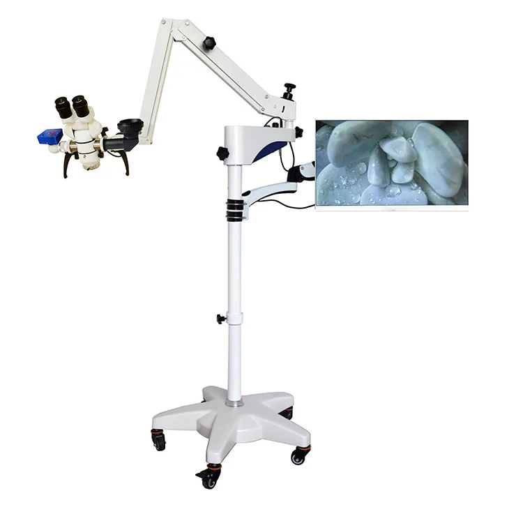 China Low Price Ent Operating Microscope Portable Surgical Microscope