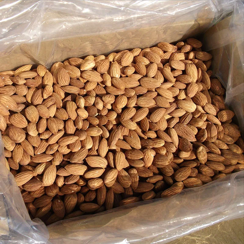 Wholesale Bulk Sweet Leaf Salt Baked Padan Wood Kernel Hull-Free Almonds Blanched and Fresh for Food Use