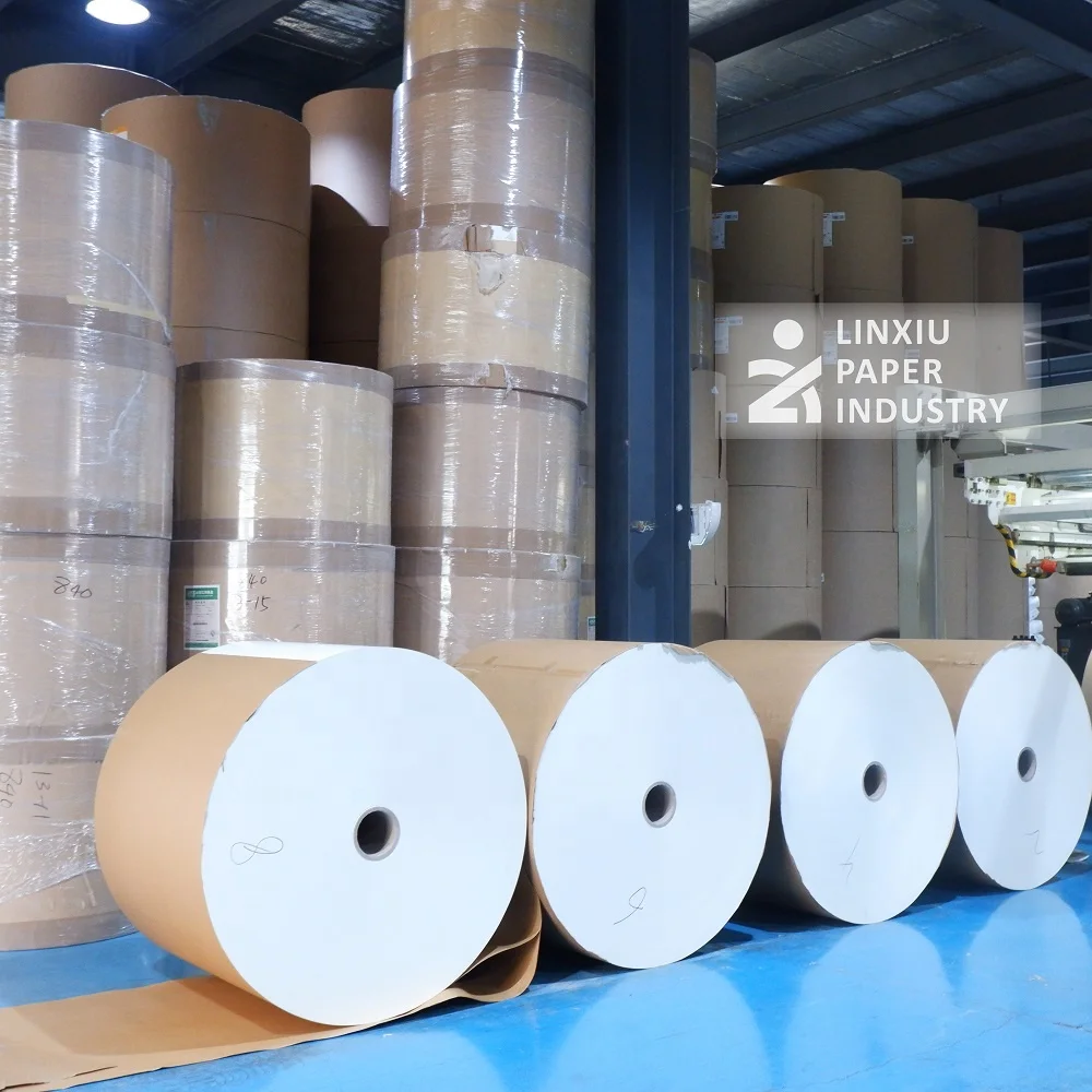 Premium 150-350gsm Single &Double PE/PLA/PBS Coated Roll Best Choice for Hot and Cold Beverage Paper and Food Packaging