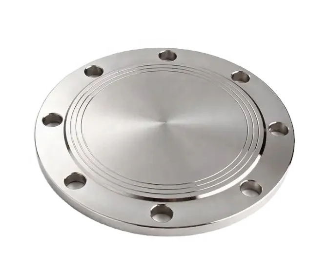 Stainless Steel Quick-fit Flange Covers Forged Blind Flange Flanges