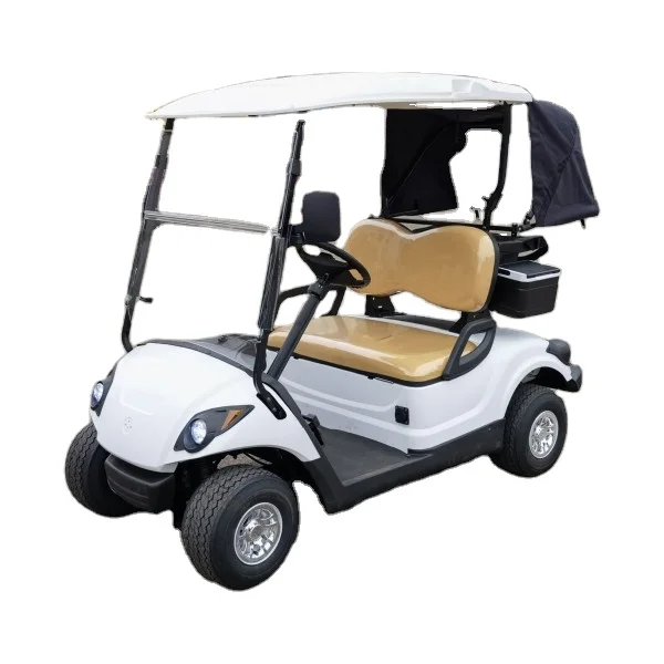 4 wheel 2 seats mini ezgo gasoline golf cart made in China