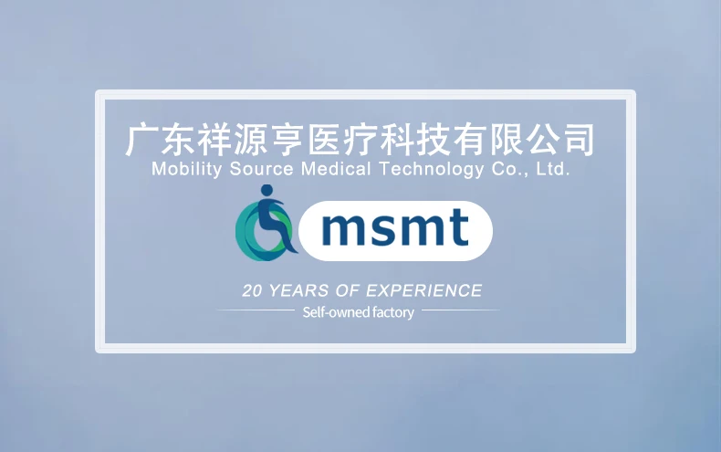 msmt (2)