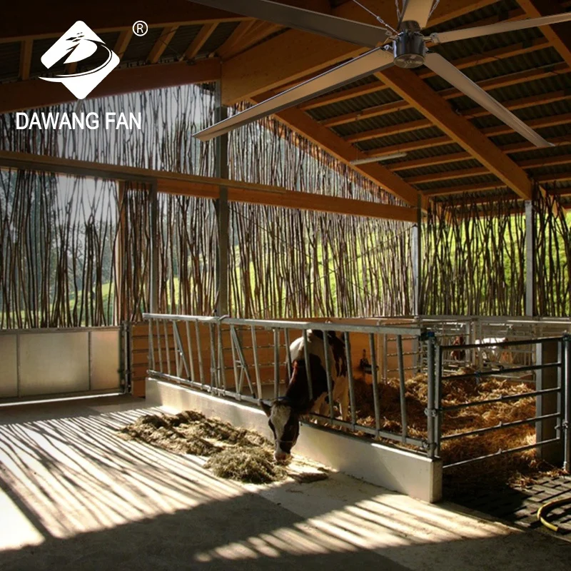 PMSM Motor Poultry 24ft Fan/ventilation Fan Axial Flow Fan AC Ceiling Fan High Volume, Low Speed 3 Years Aluminum 50HZ/60HZ