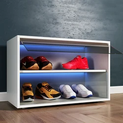 Remote control lights custom 10 tier shoe racks