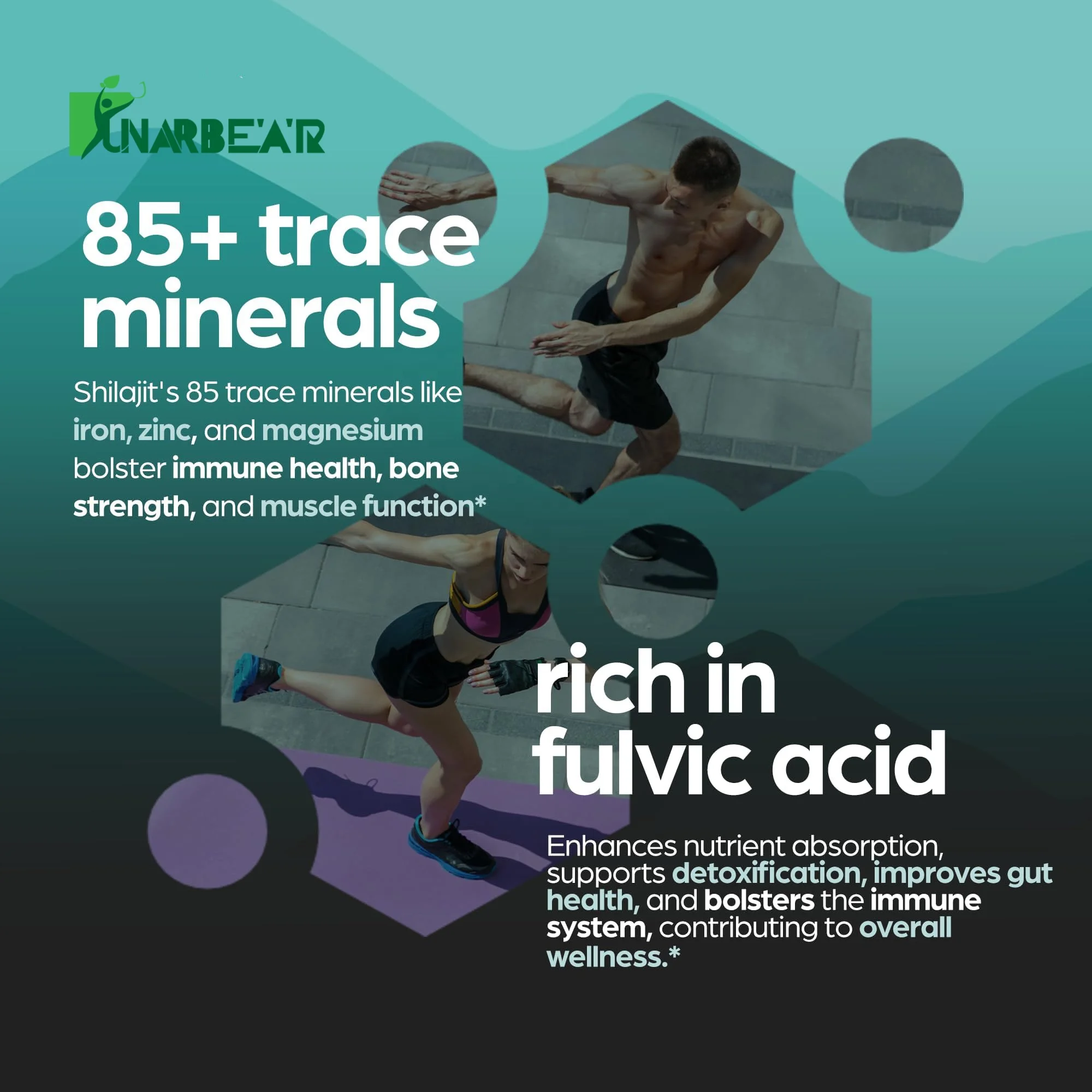 Private Custom Label Himalayan Shilajit Capusles Potency Organic Capsules with Fulvic Acid Trace Minerals Enhanced Energy Immune