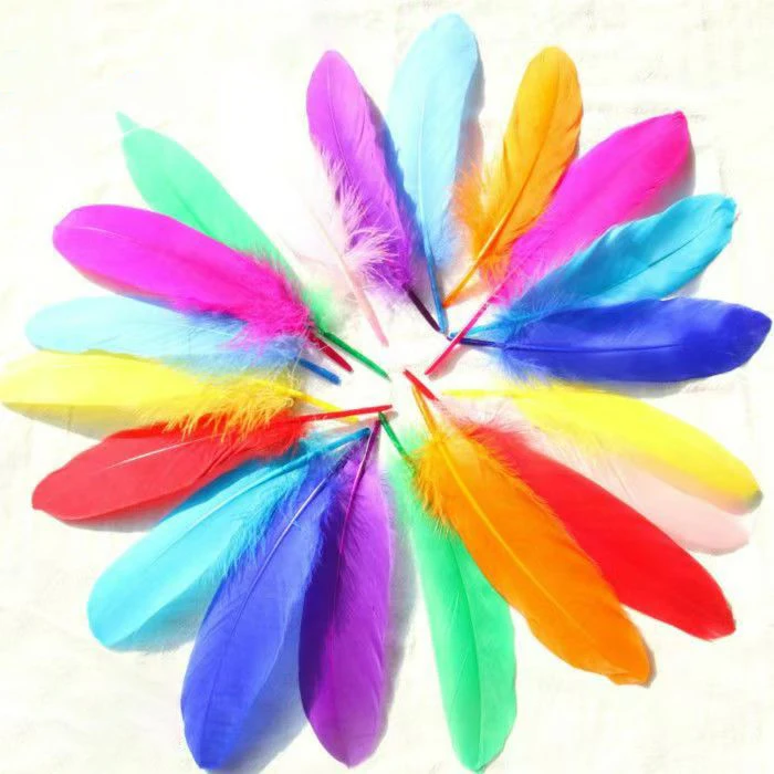 DIY Wholesale plume hot selling points bird black pink white blue carnival Cheap Wing feathers goose feather for sale