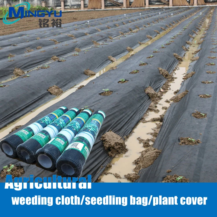 MINGYU China Manufacturer Pp Nonwoven Fabric Spunbond Non Woven 100% Polypropylene SS PP Spunbond Breathable nonwoven Fabric