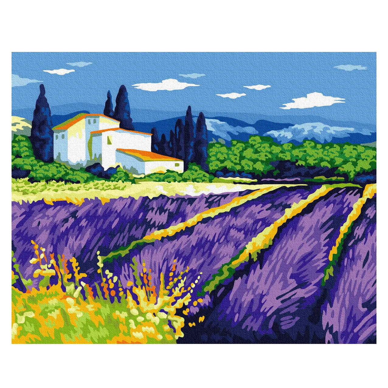 Romantic lavender landscape oil painting unfade DIY decorative painting 40*50 flower painting by numbers