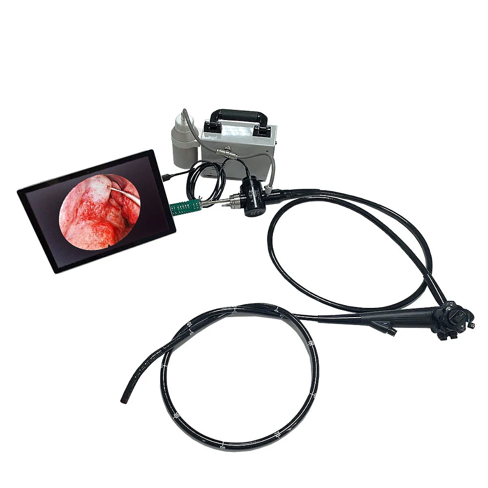Flexible medical video endoscope Video Gastroscope And Colonoscope For Small Animals