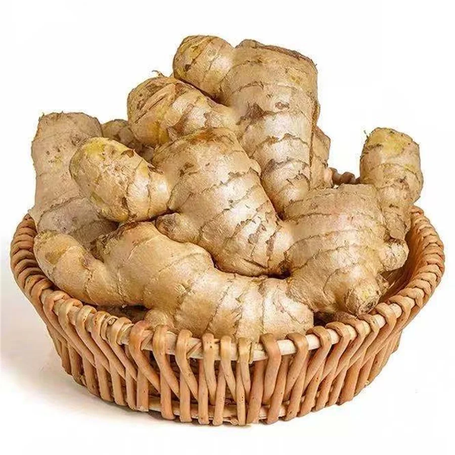 
Exclusive taste 100% natural refreshing and delicious premium fresh organic yellow ginger 