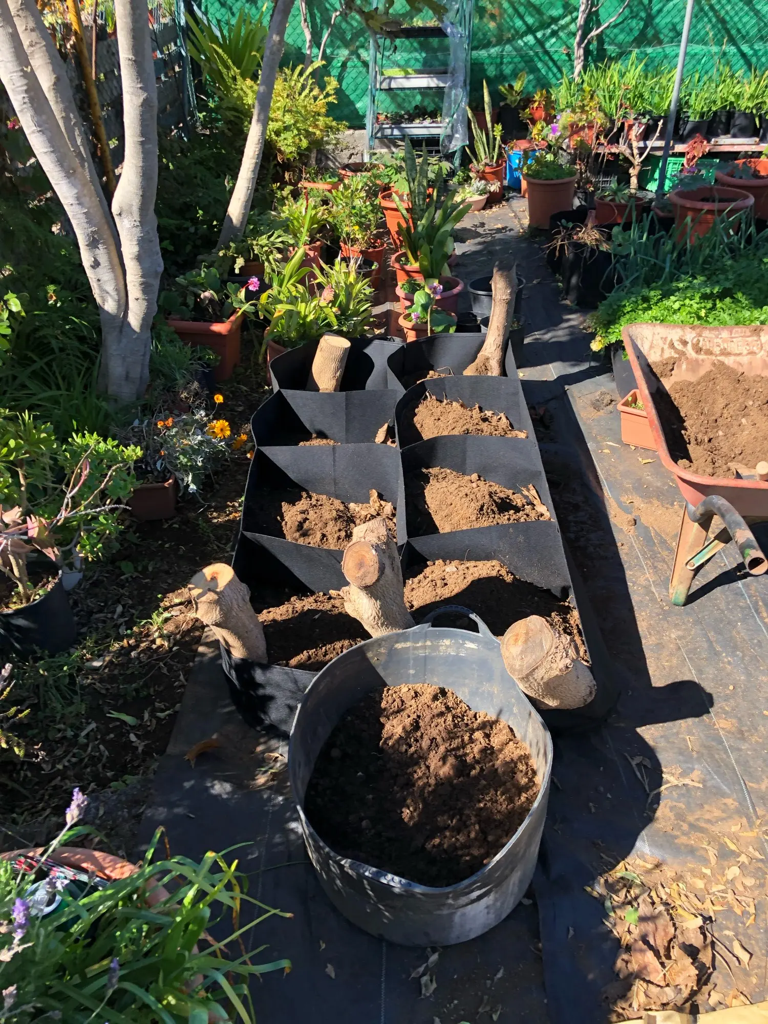 Non woven 5 7 10 30 45 50 100 200 Gallon Garden Nursery Fabric Pot black felt nursery pots garden seed plant big gal grow bags