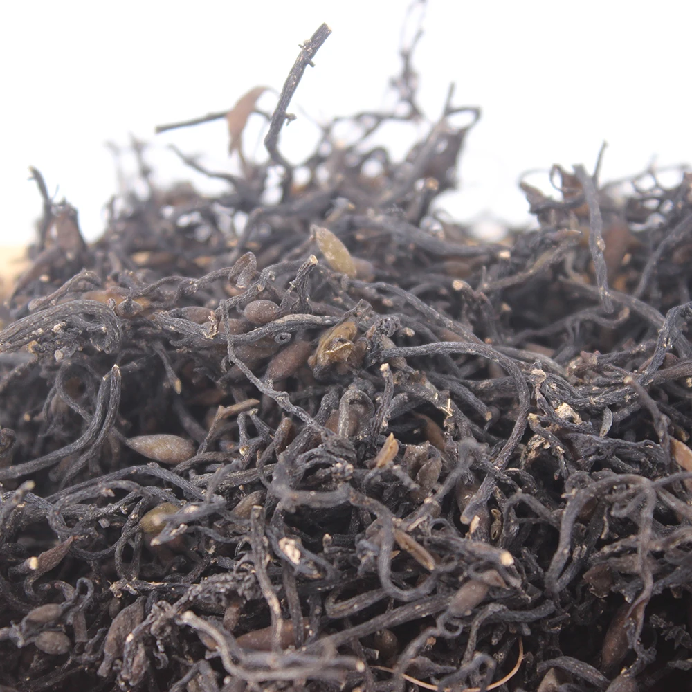 Wholesale Price High-quality Dry Seaweed Cottonii  Gracilaria  Sea Alga Poseidon Seaweed