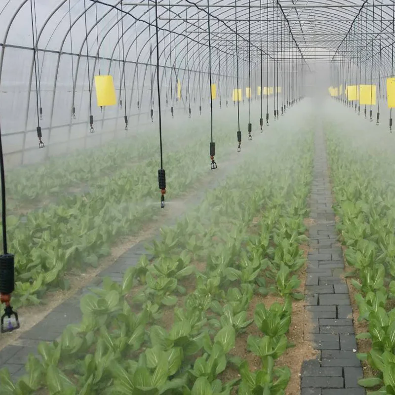 Smart Farming Agriculture Commercial Green Houses Plastic Film Greenhouse Tunnel Single Span Greenhouse