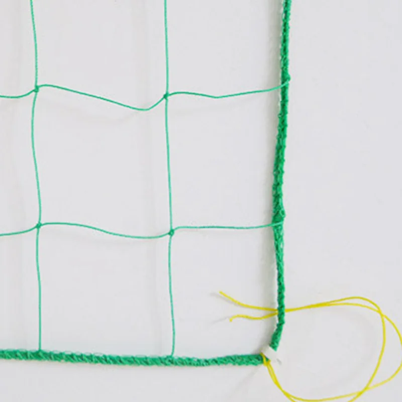 6 years service life New Design Professional Trellis Netting Pea HDPE Climbing Plant Mesh Flower Support Net