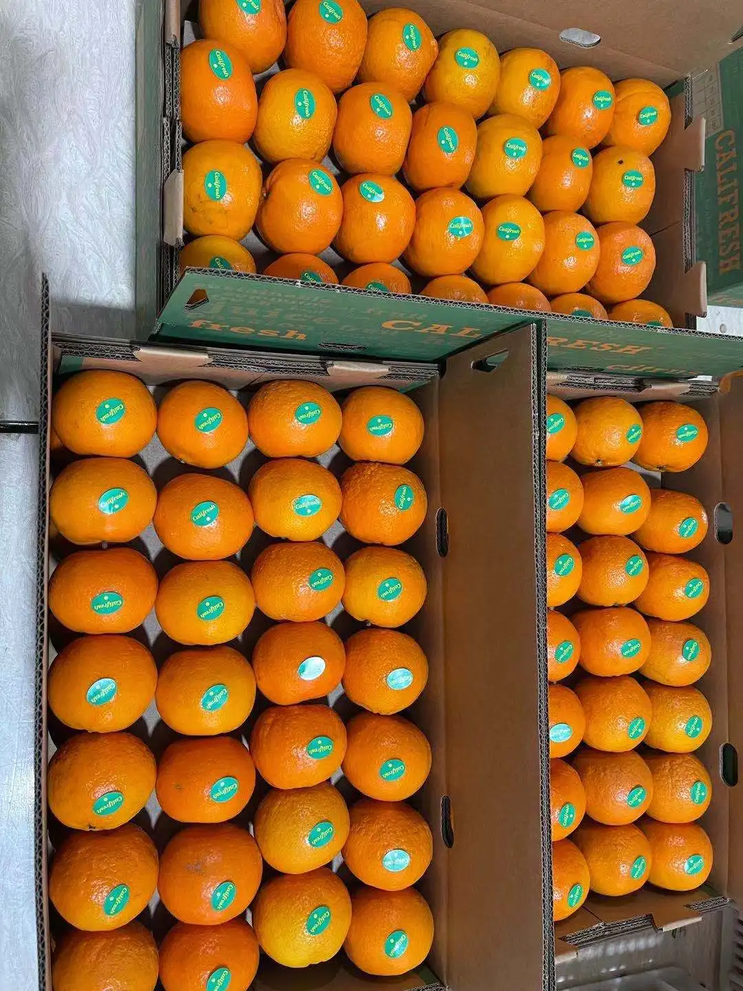 New Citrus Mandarin New Crop Fresh Juicy Orange