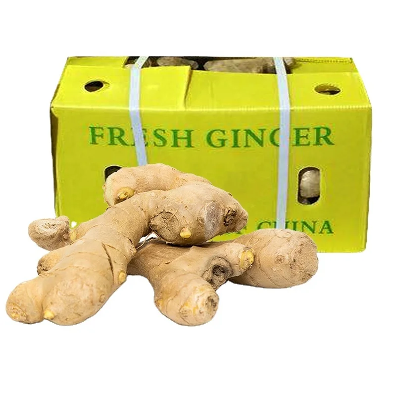 
Chinese Mature Importer Of Fresh Vegetables Air Dried Ginger In UK 