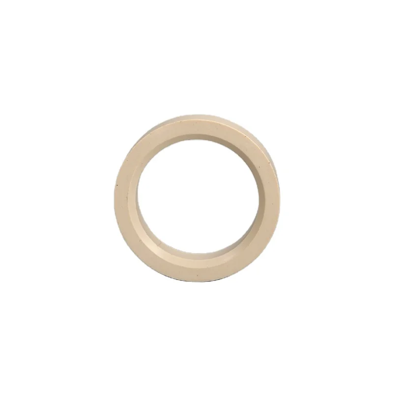 PEEK Plastic Retaining Seal Rings