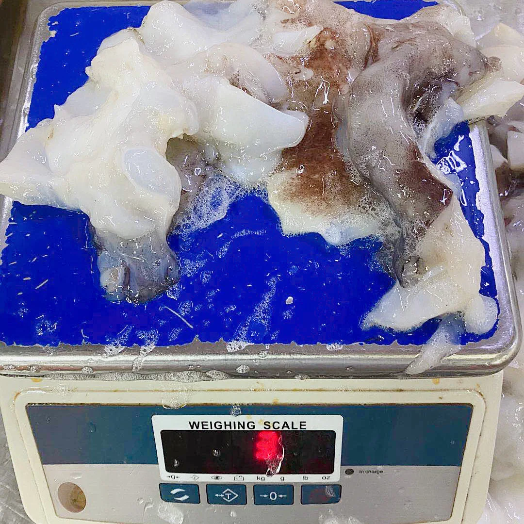 
Frozen Peru Giant Squid Neck Indian Ocean Squid Neck The Butterfly Shape 