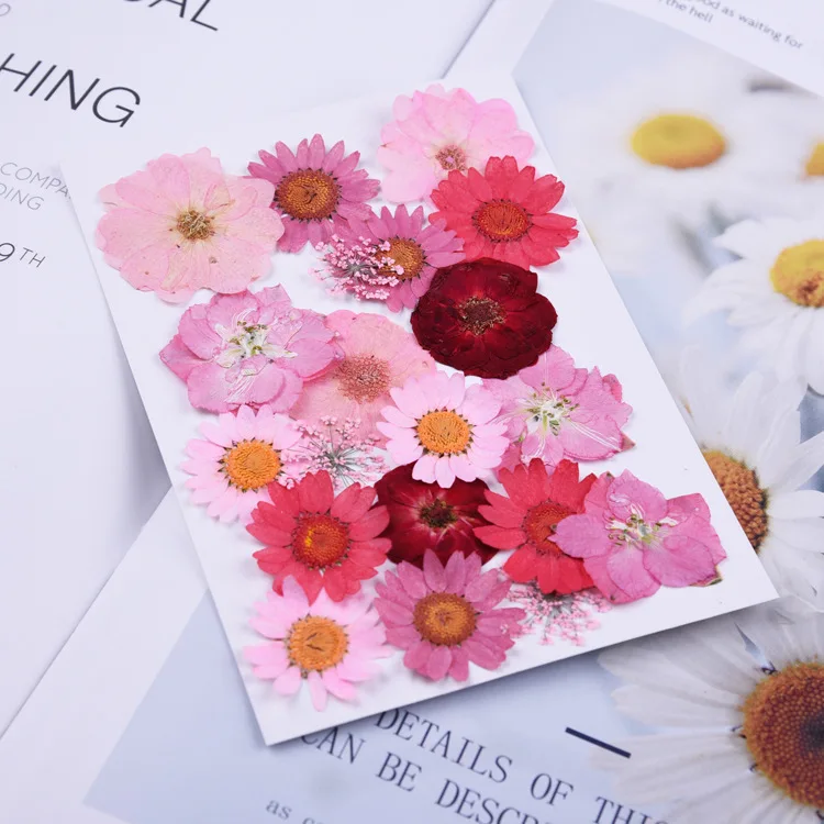 Beautiful Multiple Real Pressed Leaves Natural Dried Flowers for Art Craft Scrapbooking Card Making Resin Jewelry Craft DIY