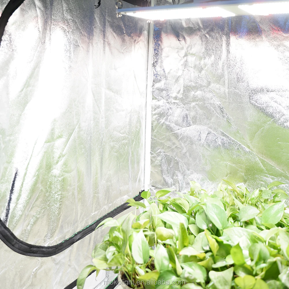 Wholesale Full Spectrum Led Plant Grow Light 120w/240w/320w with meanwell driver Led Grow Light Samsung Lm301h