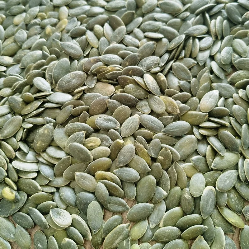 Halal Certificate Pumpkin Seeds Grown Without Shell Pumpkin Seeds Kernels Grade AA For Mix Nuts Wholesale