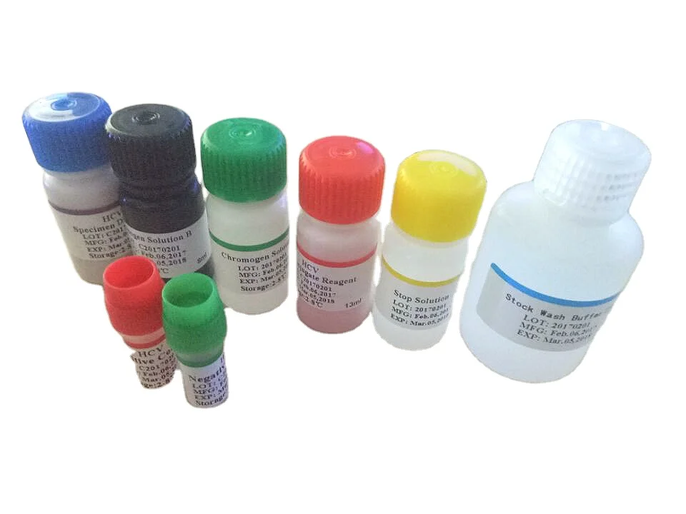 Biobase Manual Operation 96T Micro plate Elisa reagent kit AMH anti-Mullerian hormone for human serum