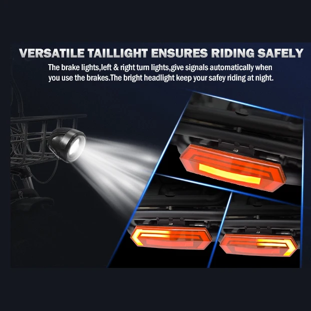 Mountain Electric Tricycle Cargo 48V Spoke Wheel Motor 1000W Aluminum Alloy Body Running 100km Lithium Bicycle