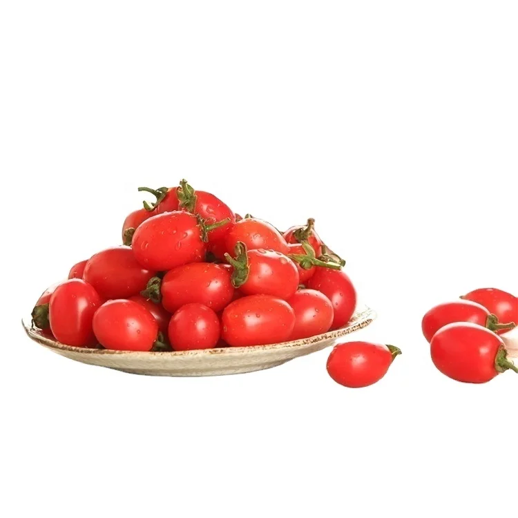 
China packaging cherry tomatoes sale tomatoes cherry fresh dried tomatoes cherry 